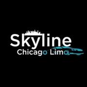 Skyline Downtown Chicago Limo